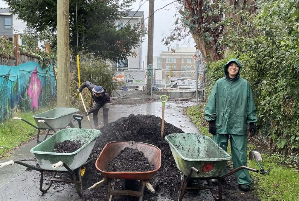 Gardens are sleeping, construction is happening!